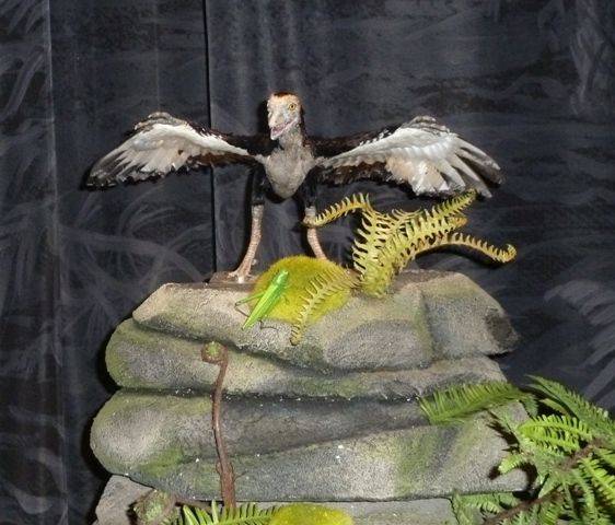 Dinosaurs at centre for life