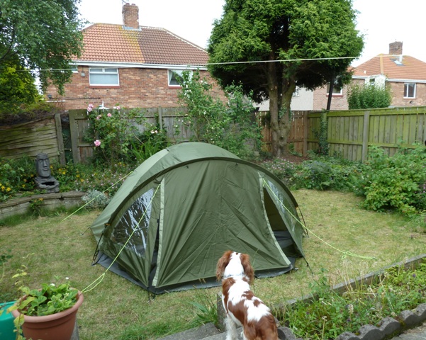 Tent in garden with dog in front