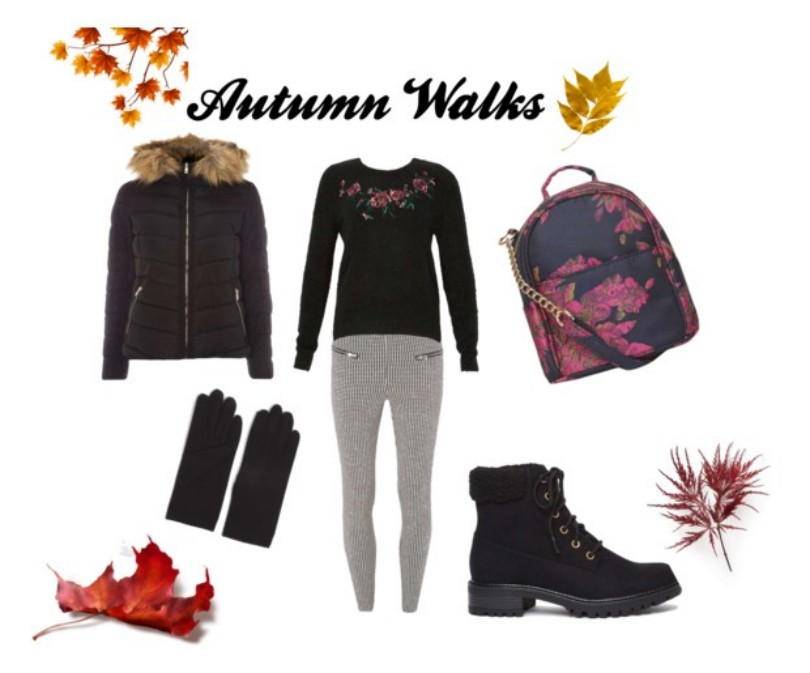Autumn Dog Walking