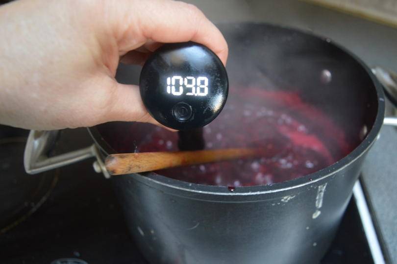 Professional secrets kitchen thermometer testing temperature of boiling jam