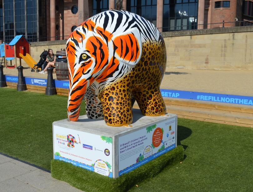 Elmer decorated with tiger and zebra stripes