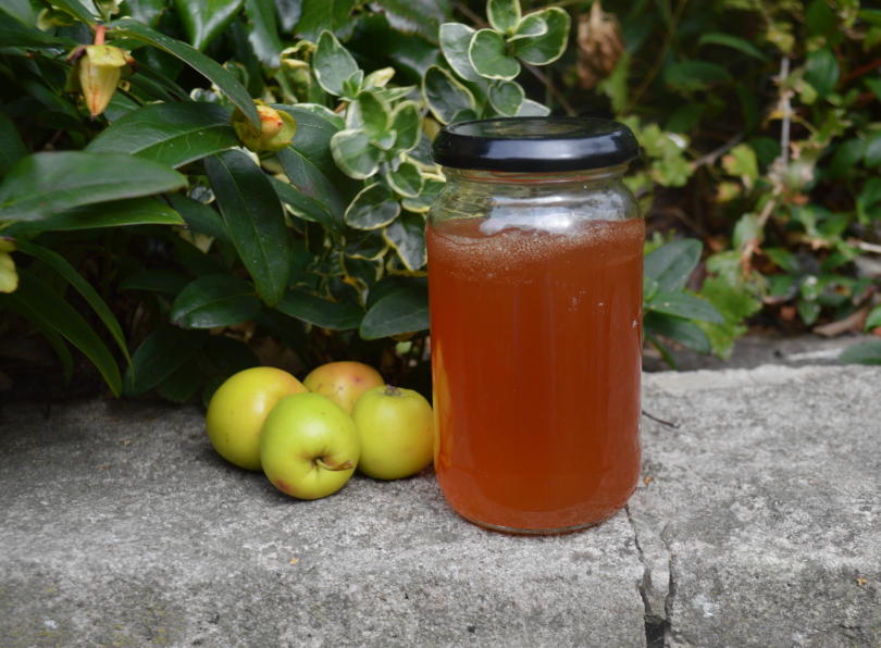 Crab apple jelly in a jar outside with crab apples beside it