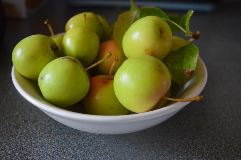 Crab apples in a bowl