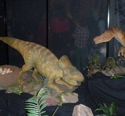 dinosuars at centre for life