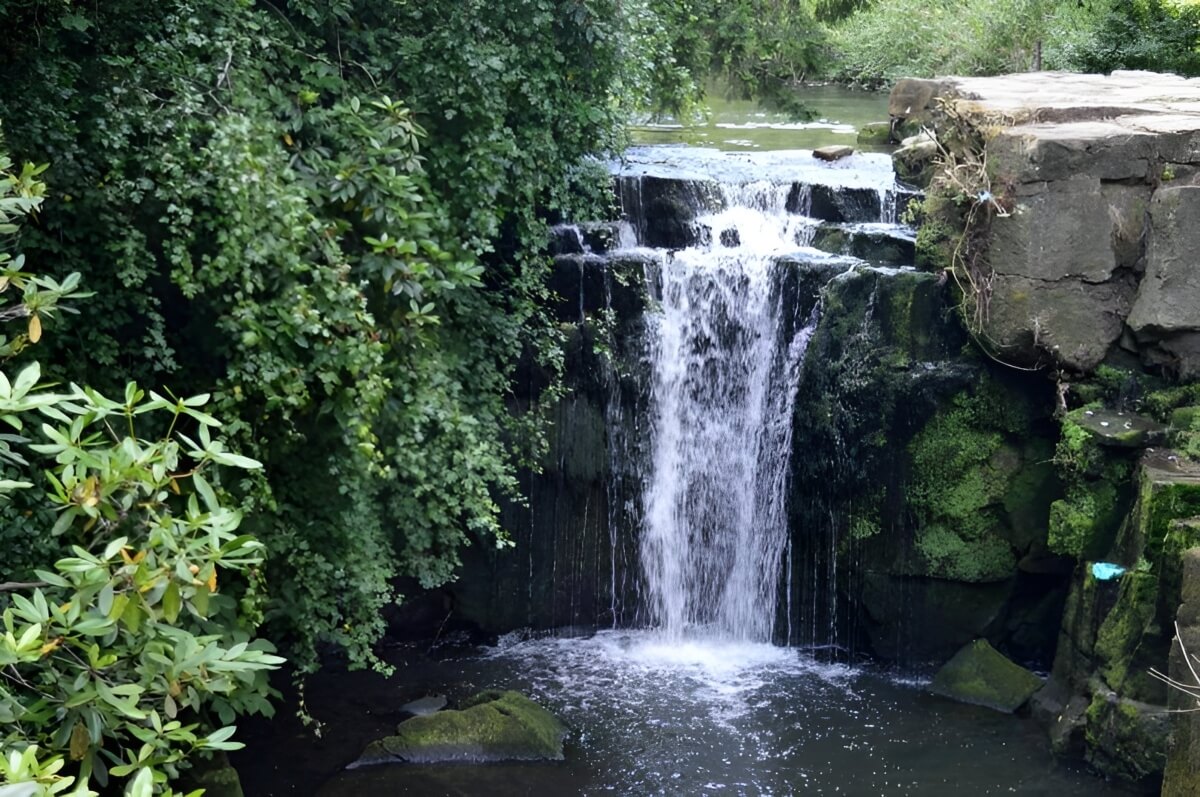 Waterfall in Jesmond Dene park