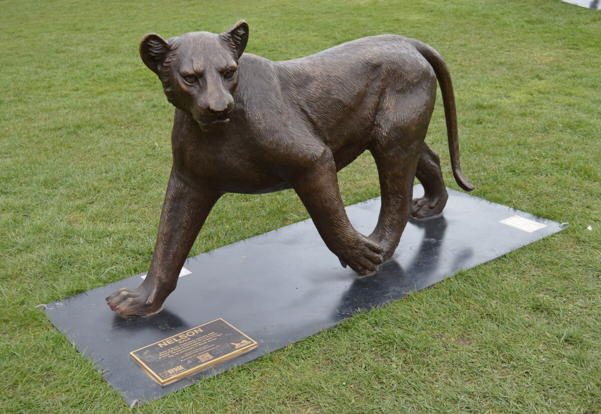 Statue of lion cub walking