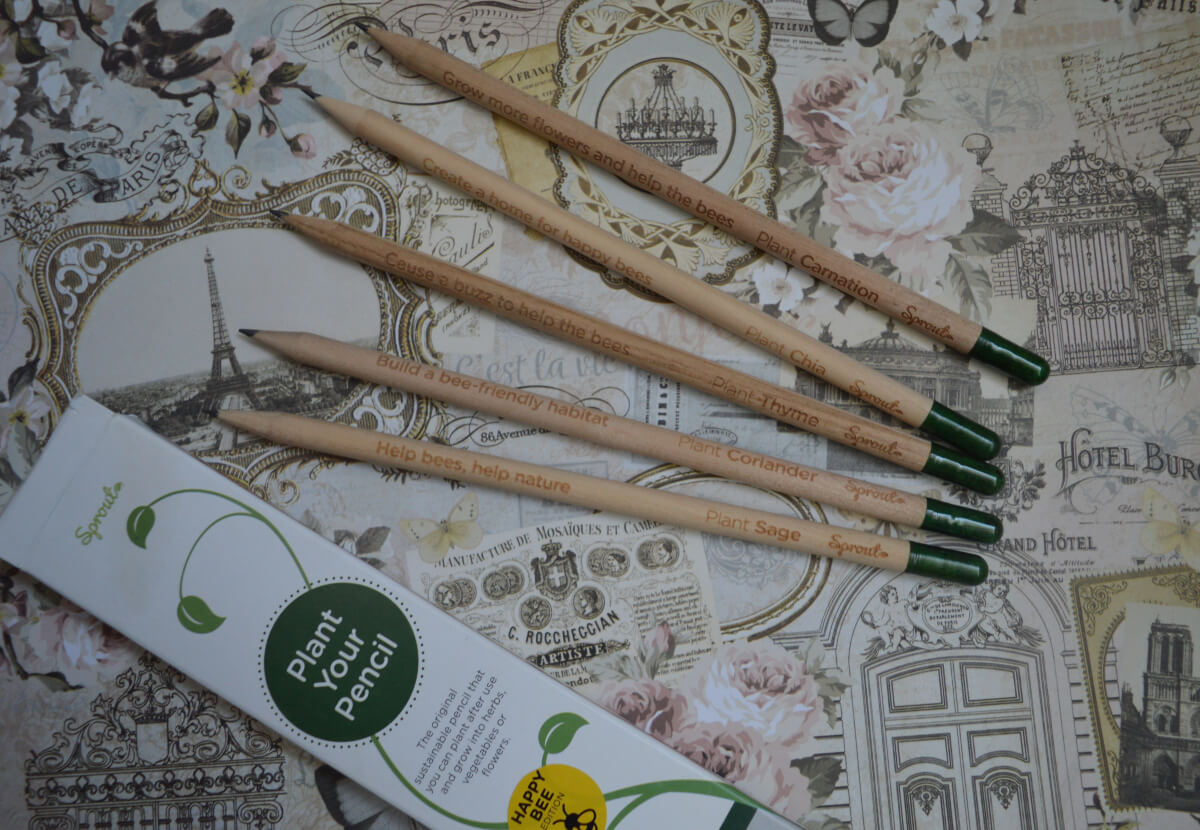 Sprout Pencil Review