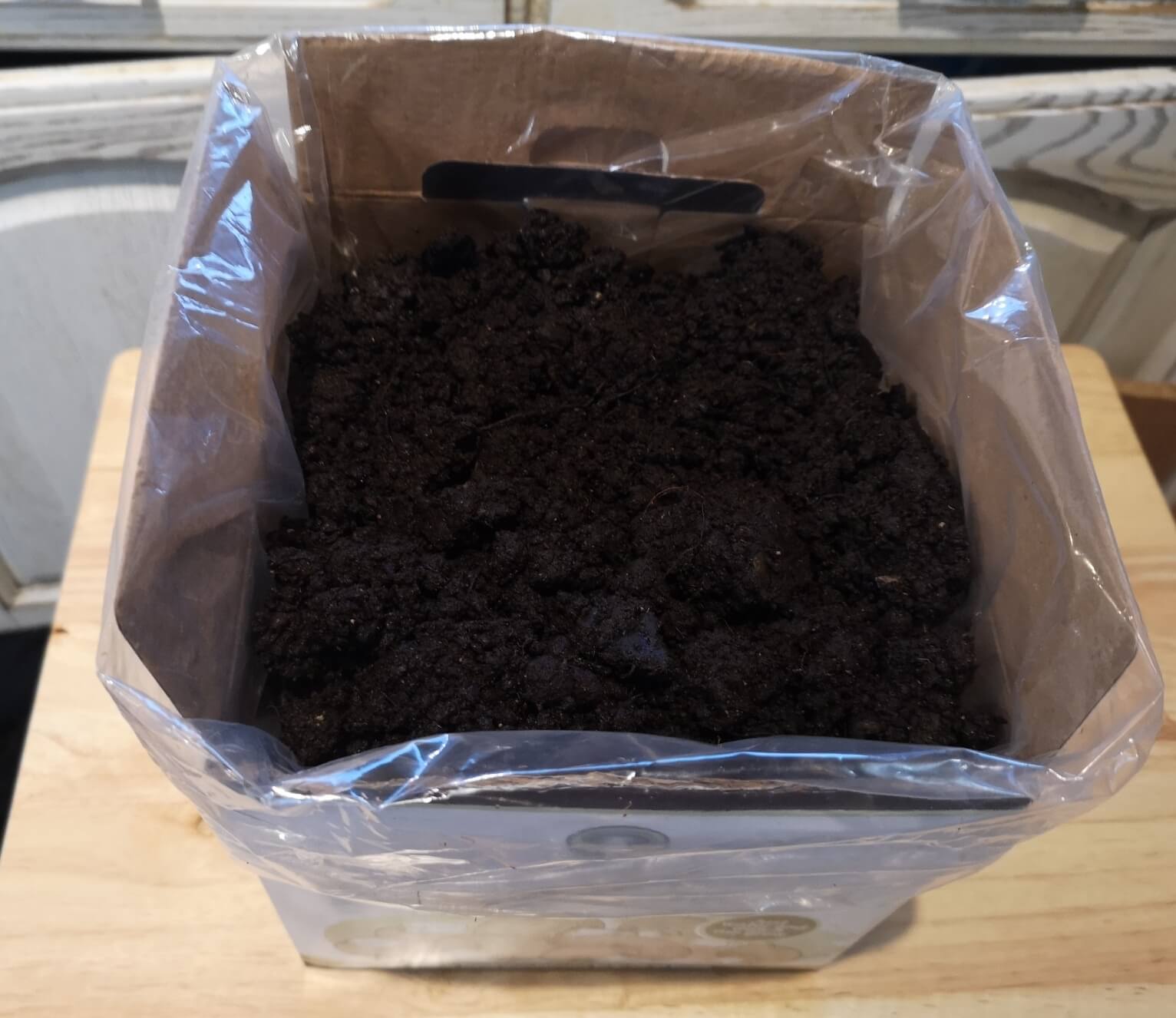 chestnut mushroom grow kit soil setup