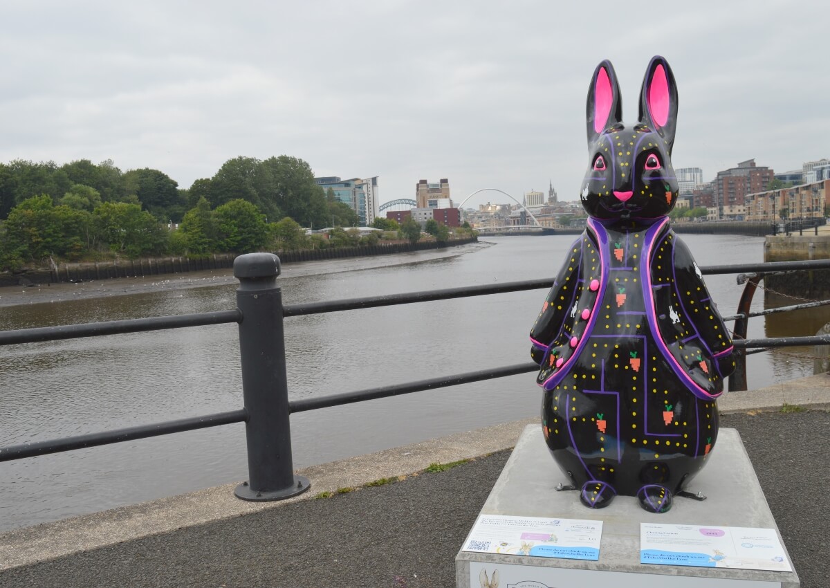 Chasing Carrots Peter Rabbit sculpture beside The Cycle Hub on Newcastle Quayside.