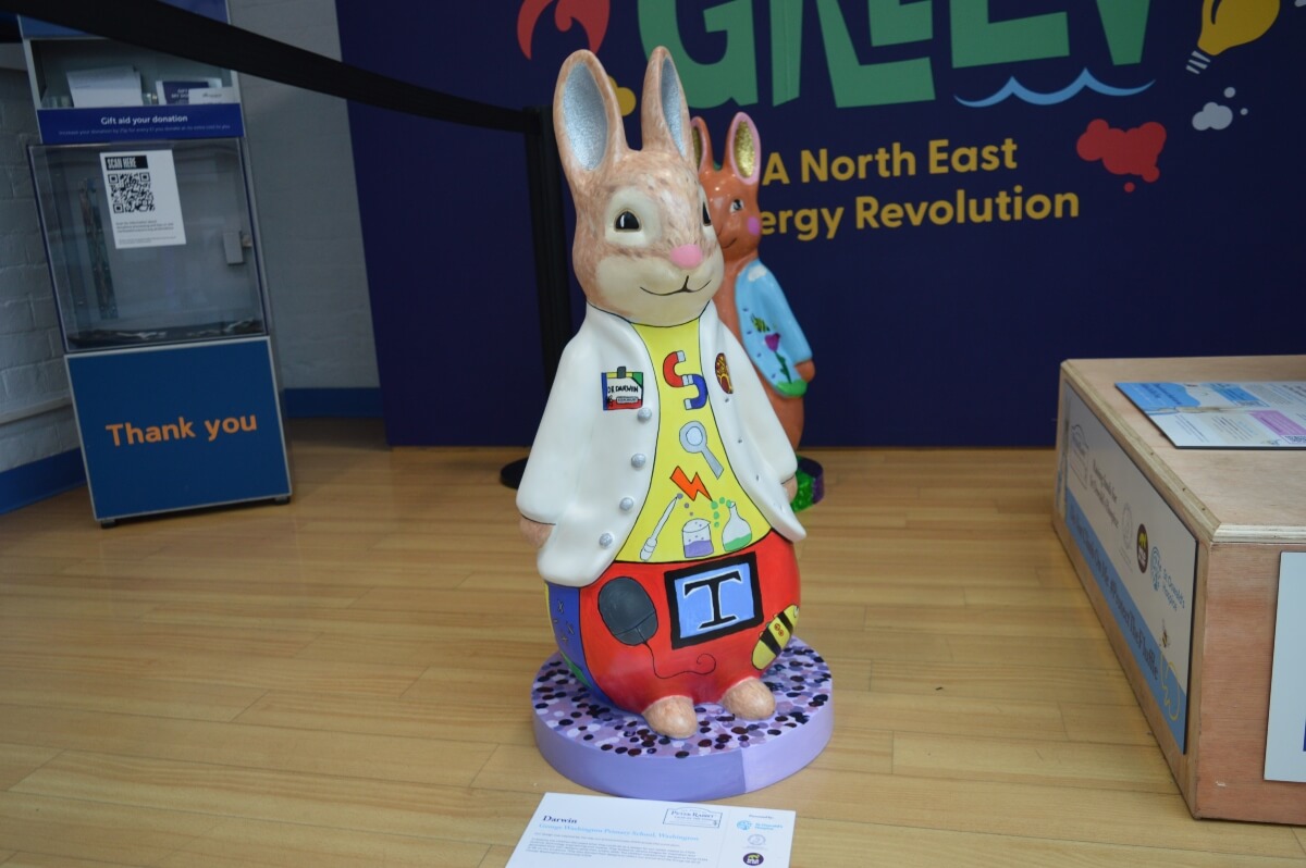 Darwin Peter Rabbit with colourful STEM symbols
