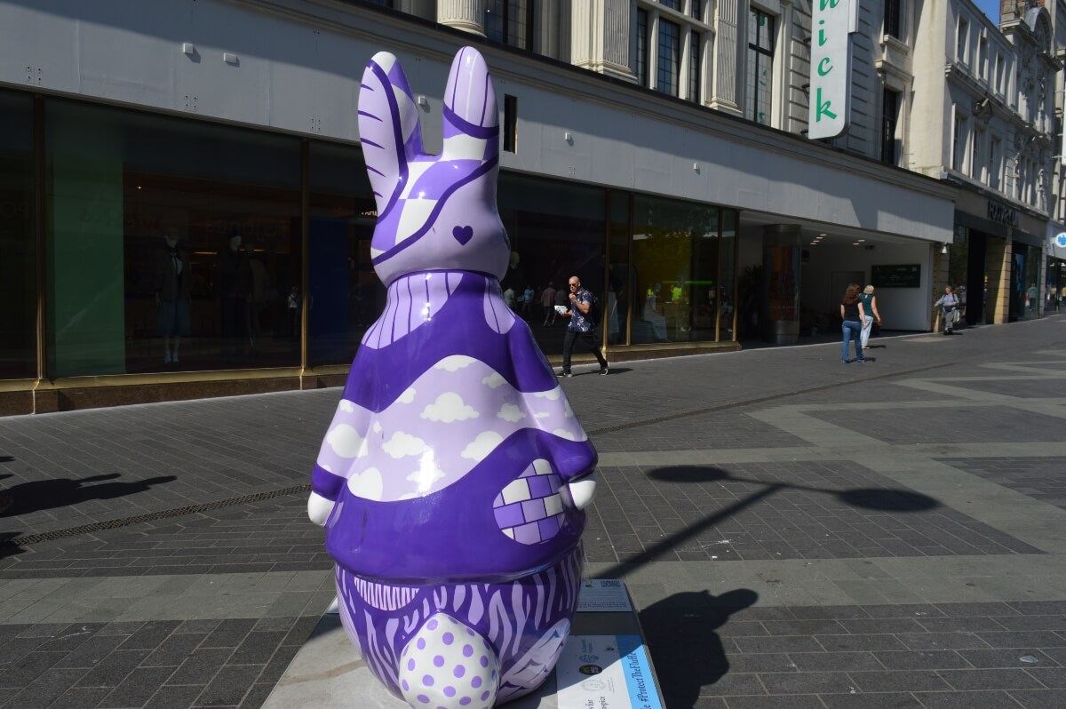 Back of Pattern Spotting Peter Rabbit showing purple geometric patterns in Newcastle